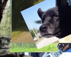 Screenshot 2015-04-19 11.35.19