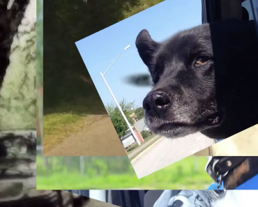 Screenshot 2015-04-19 11.35.19