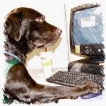 Lovable Labs