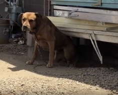 Screen Shot 2015-08-09 at 10.20.45 PM