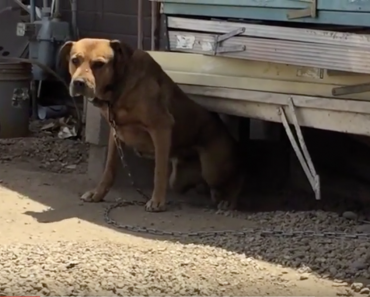 Screen Shot 2015-08-09 at 10.20.45 PM