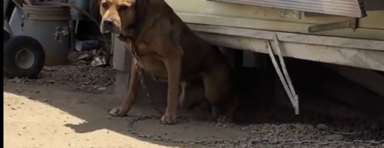 Screen Shot 2015-08-09 at 10.20.45 PM